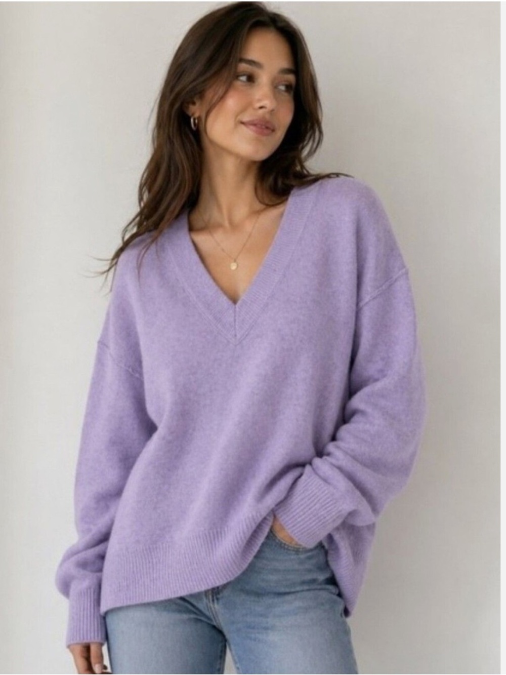 aerie Lavender V-Neck Sweater